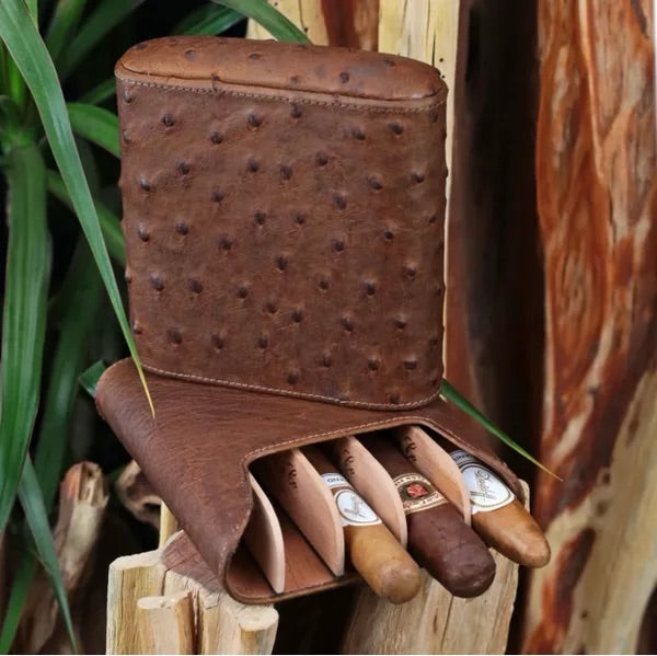 5 cigar Show Band Case - All options