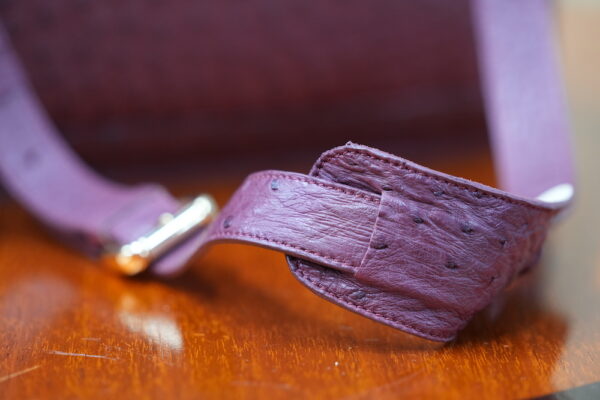 Burgundy a4+ Leather Business Case Ostrich