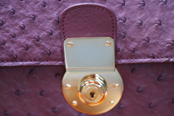 Burgundy a4+ Leather Business Case Ostrich