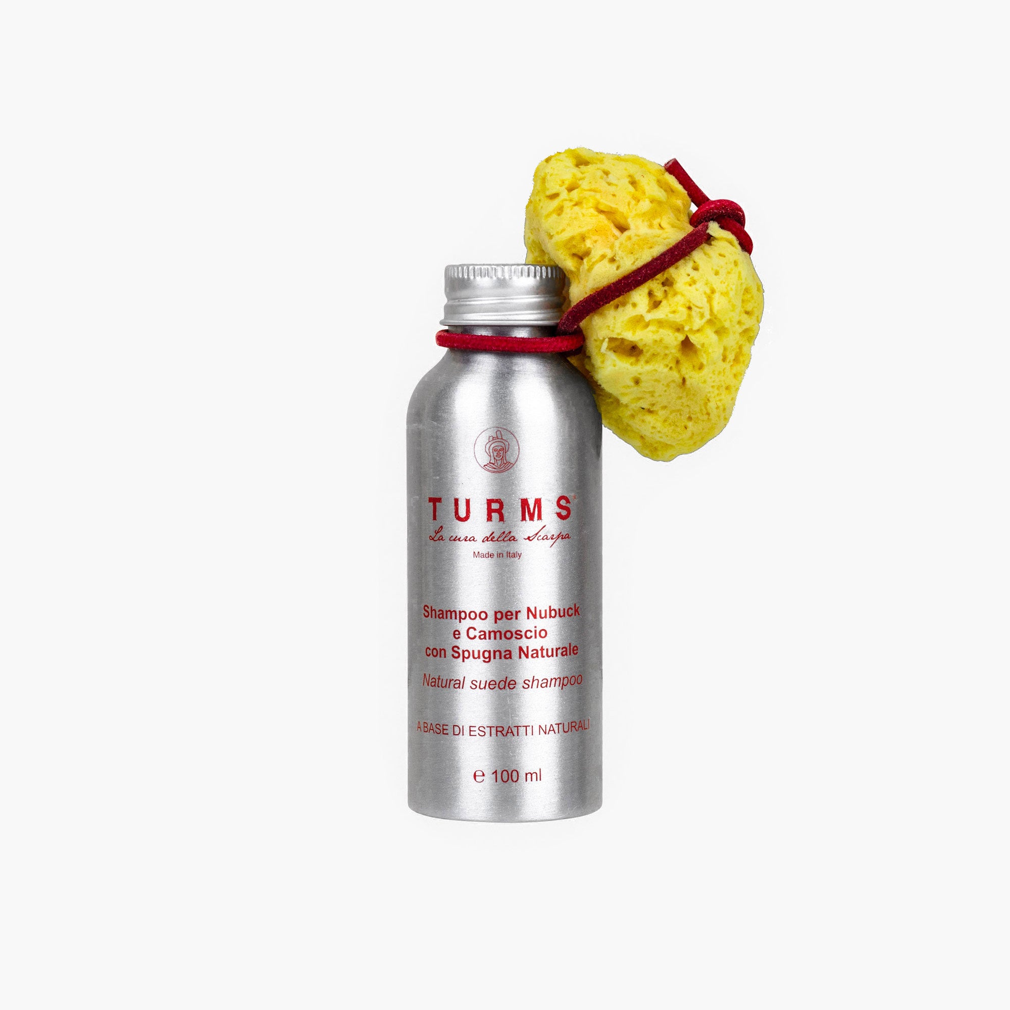 Suede Shampoo
