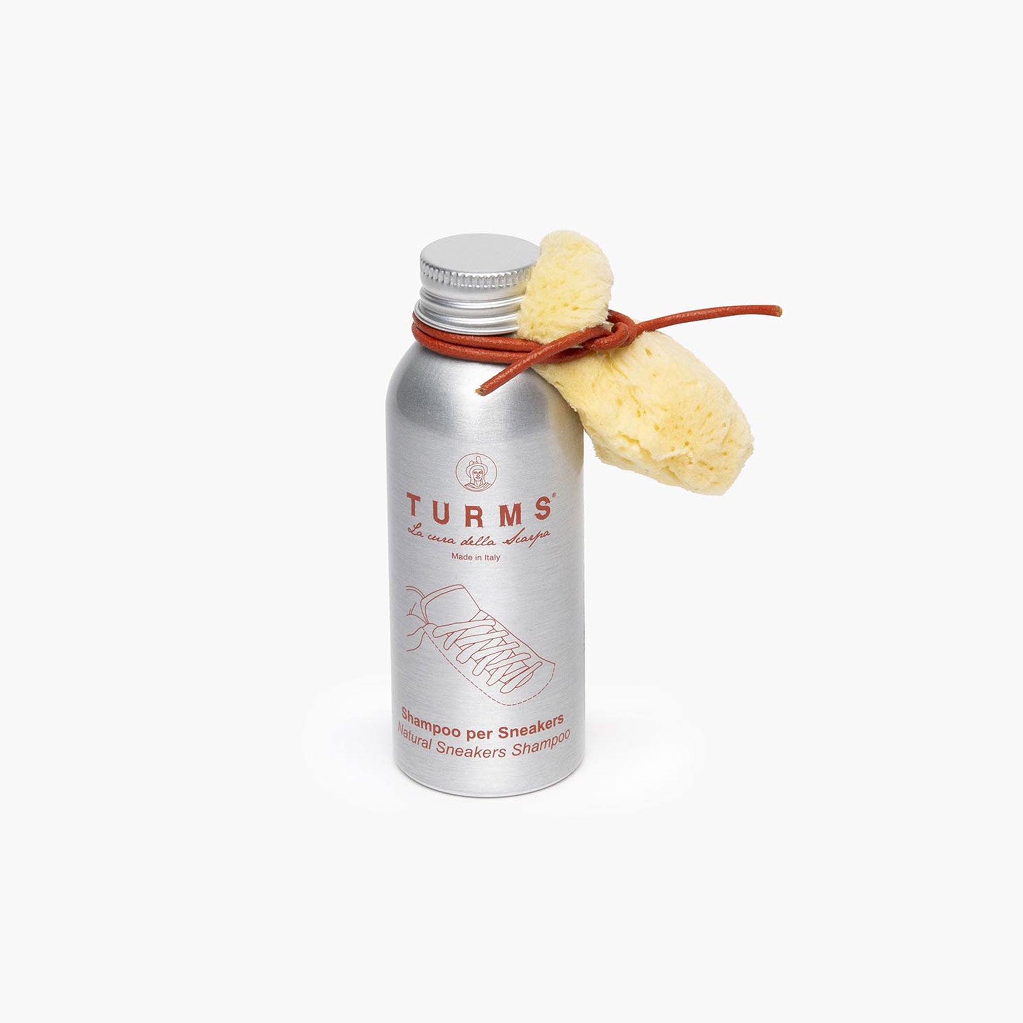 Sneaker Shampoo