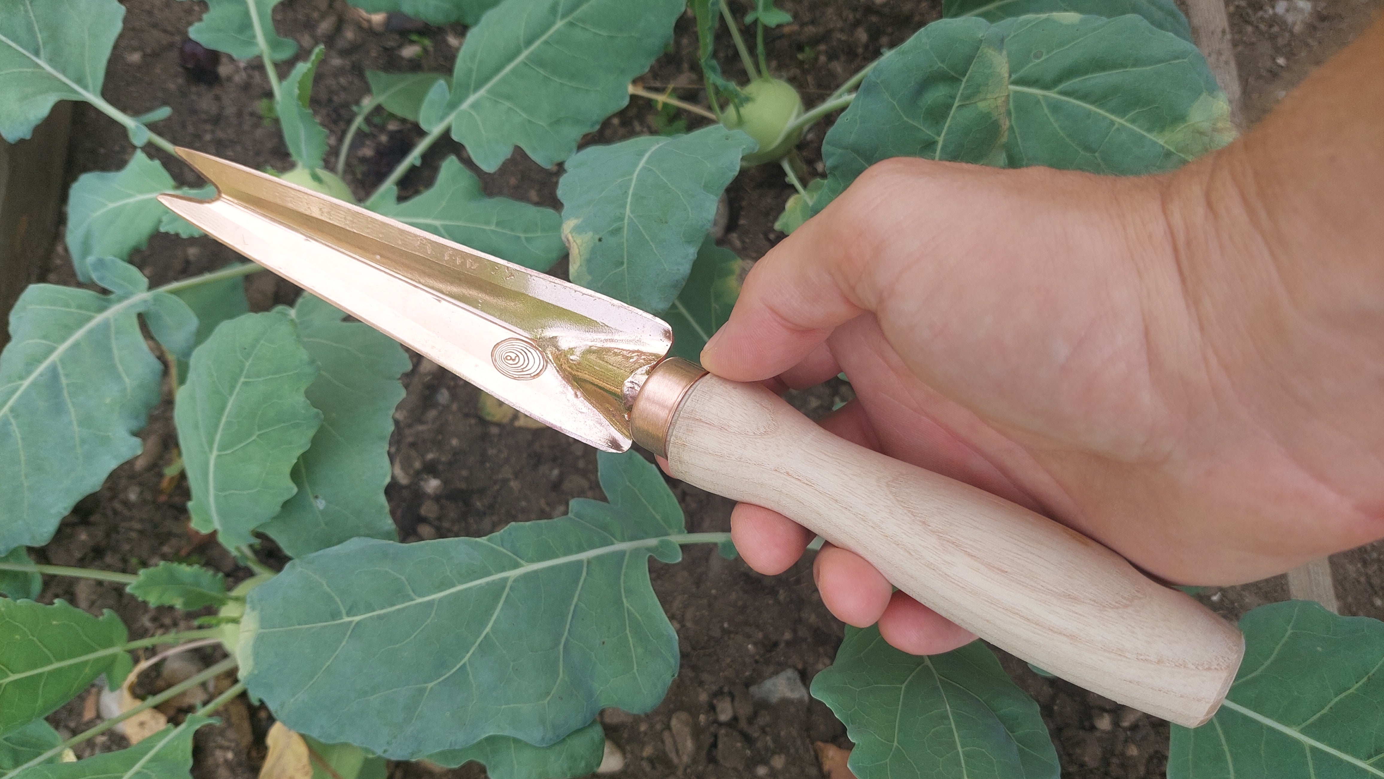 Copper Garden Knife Rarog