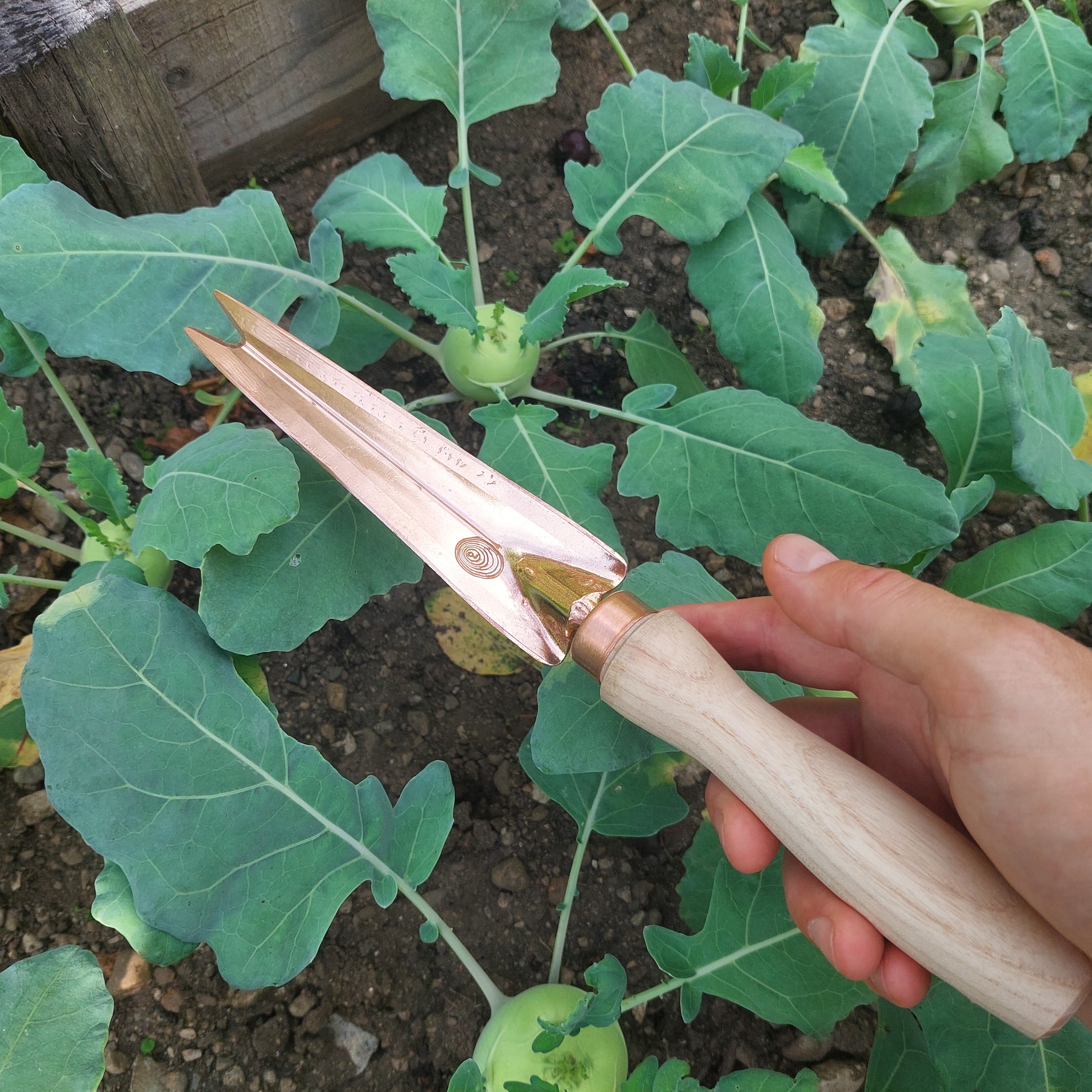 Copper Garden Knife Rarog