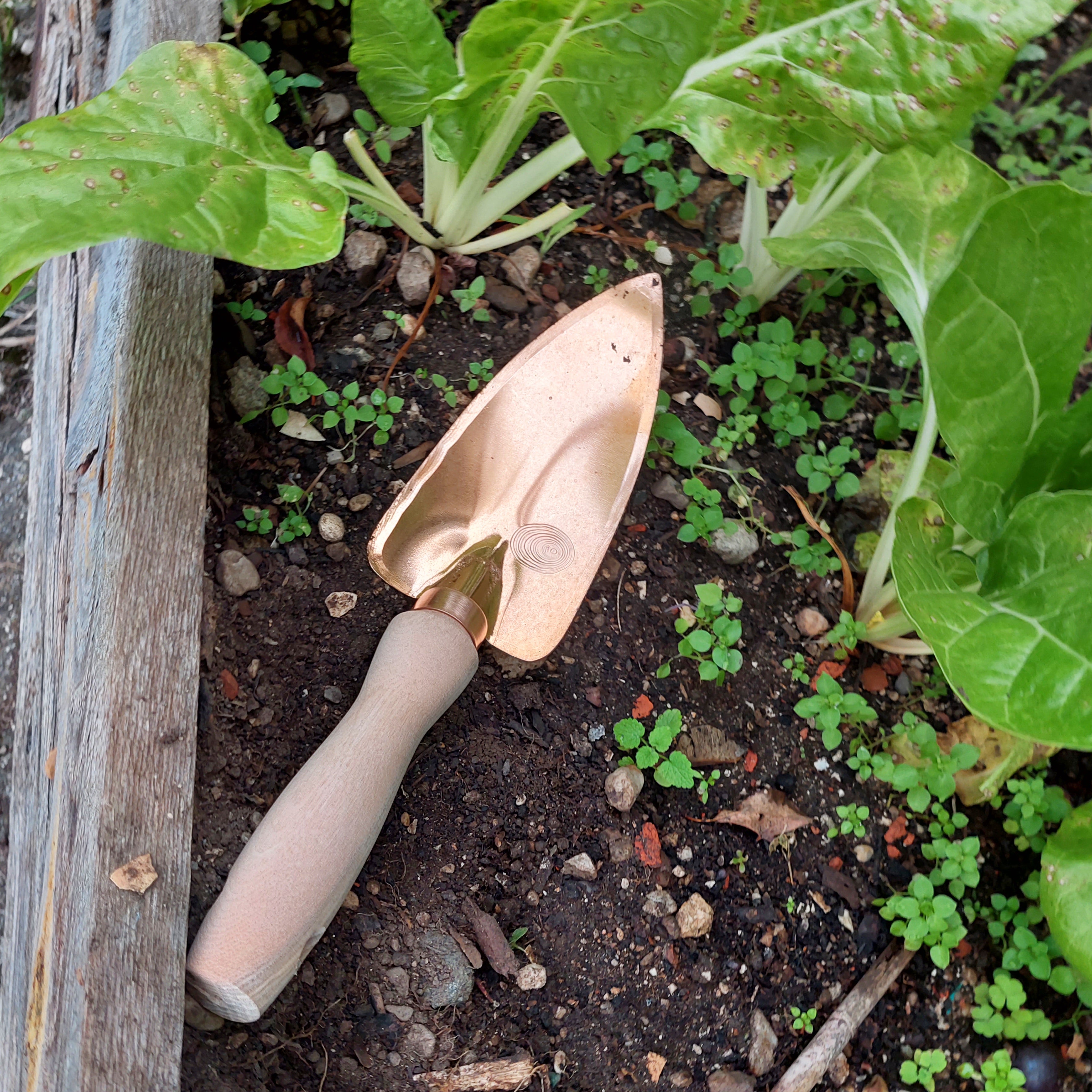 copper garden trowel Copper Garden Trowel Deva