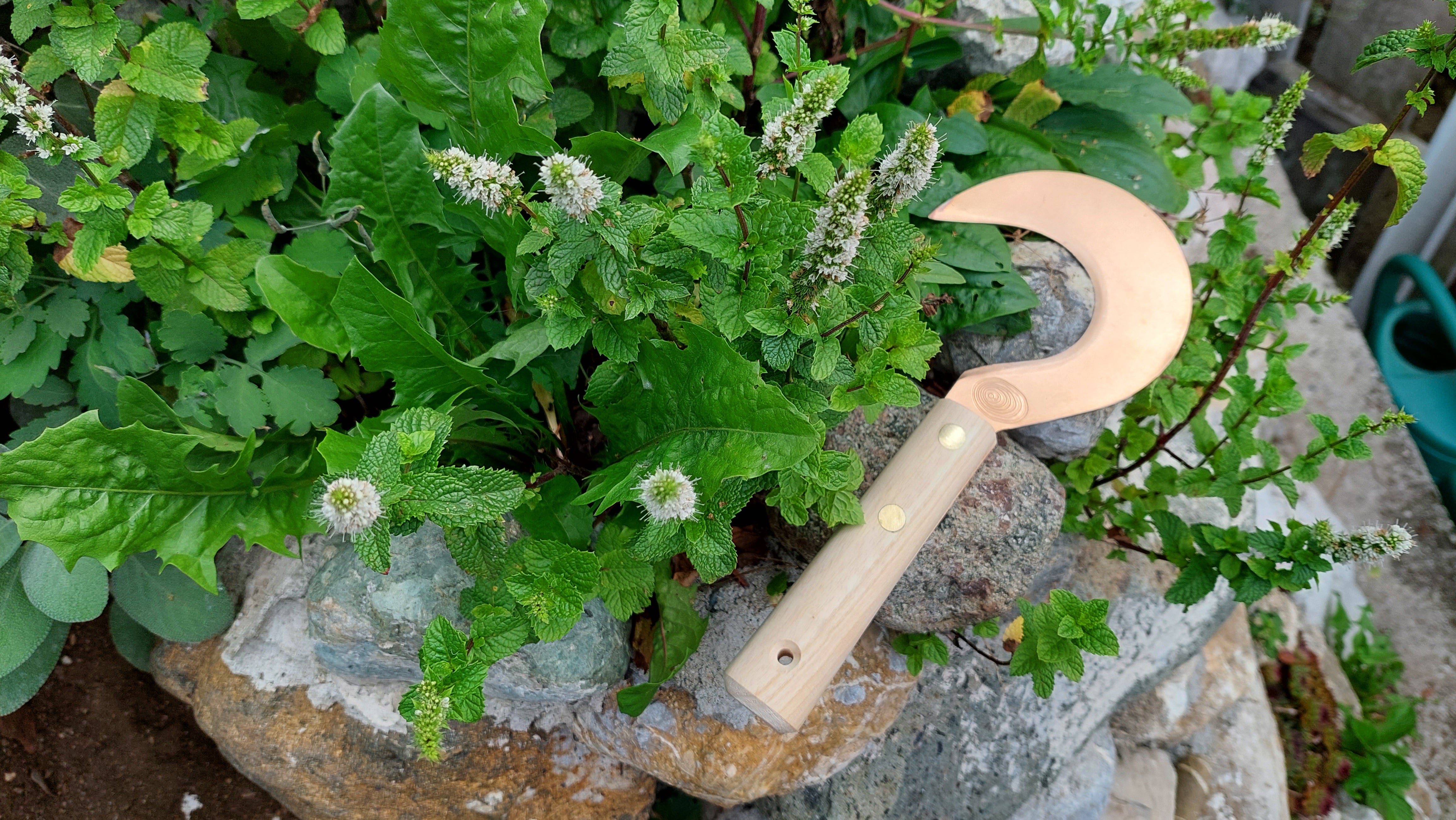 Small Copper Sickle popular Herbal Sickle Miroslav by OJ Bron