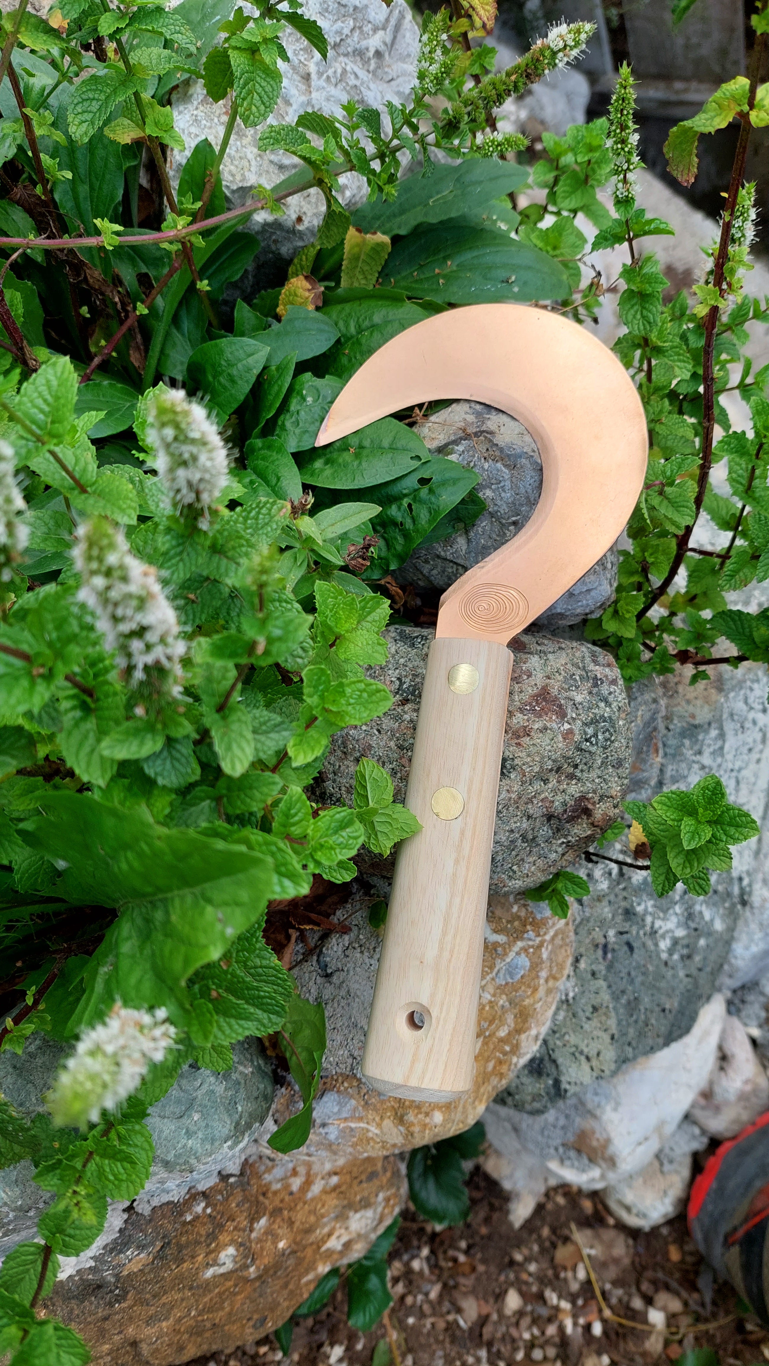 Small Copper Sickle popular Herbal Sickle Miroslav by OJ Bron