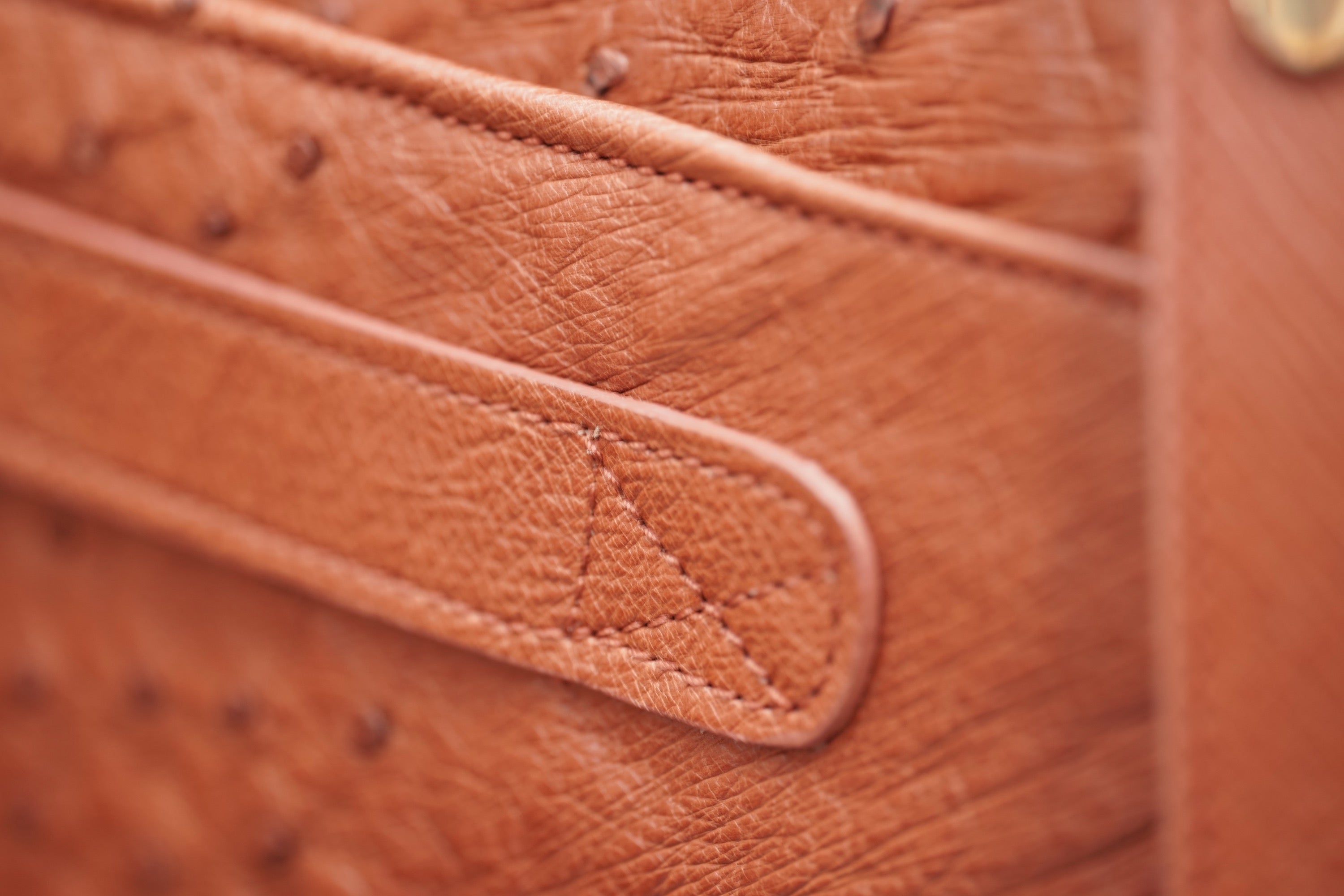 BROWN  A4+ BUSINESS CASE IN OSTRICH LEATHER